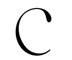 whatsapp image 2025 12 12 at 10.20.05